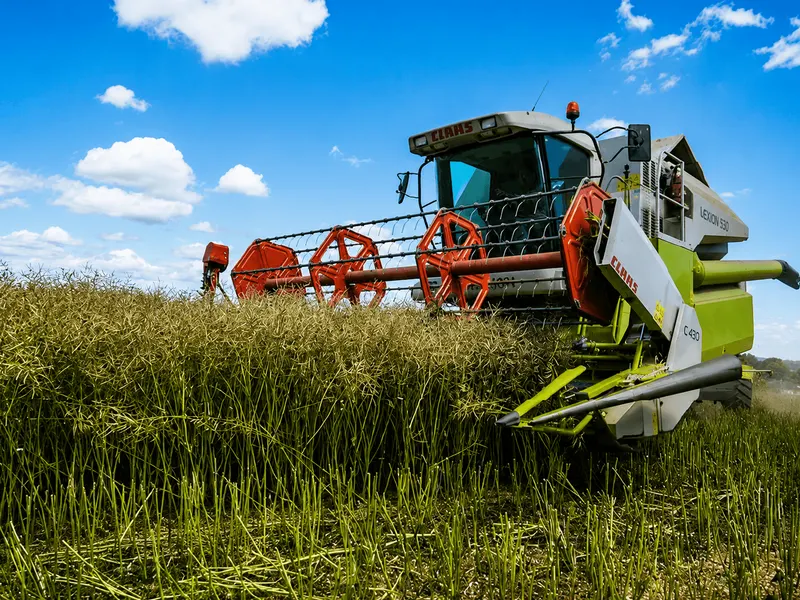 Combine harvester working in a field