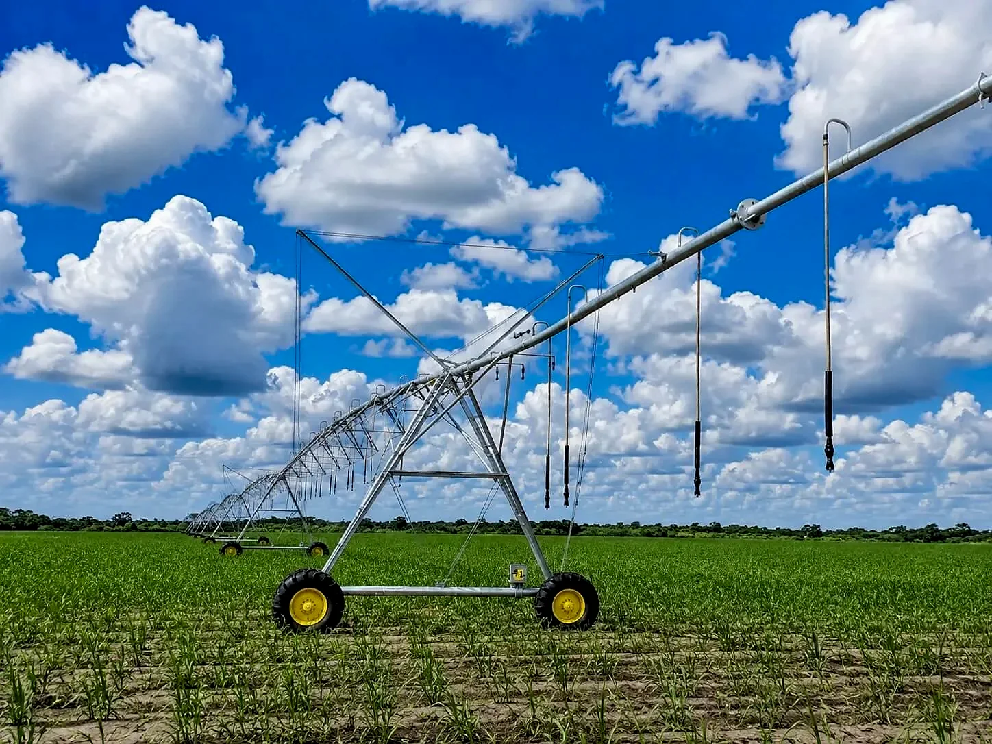 Lake Agro centre-pivot irrigation over a green crop field